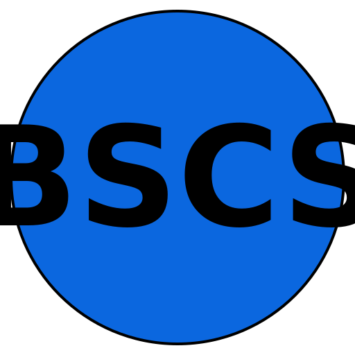 BrightSteps Career Solutions